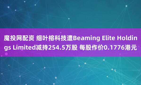 魔投网配资 细叶榕科技遭Beaming Elite Holdings Limited减持254.5万股 每股作价0.1776港元
