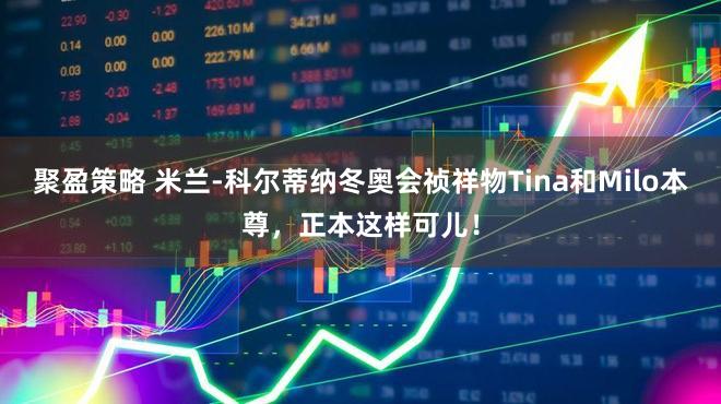 聚盈策略 米兰-科尔蒂纳冬奥会祯祥物Tina和Milo本尊，正本这样可儿！