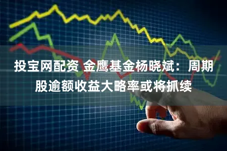投宝网配资 金鹰基金杨晓斌:周期股逾额收益大略率或将抓续