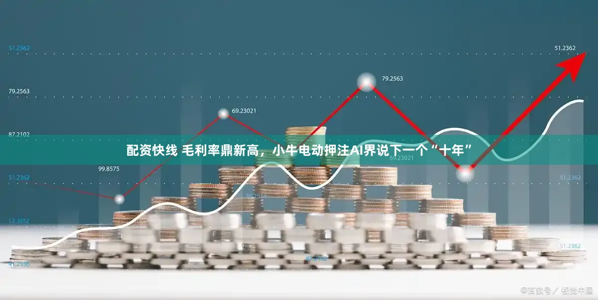 配资快线 毛利率鼎新高，小牛电动押注AI界说下一个“十年”