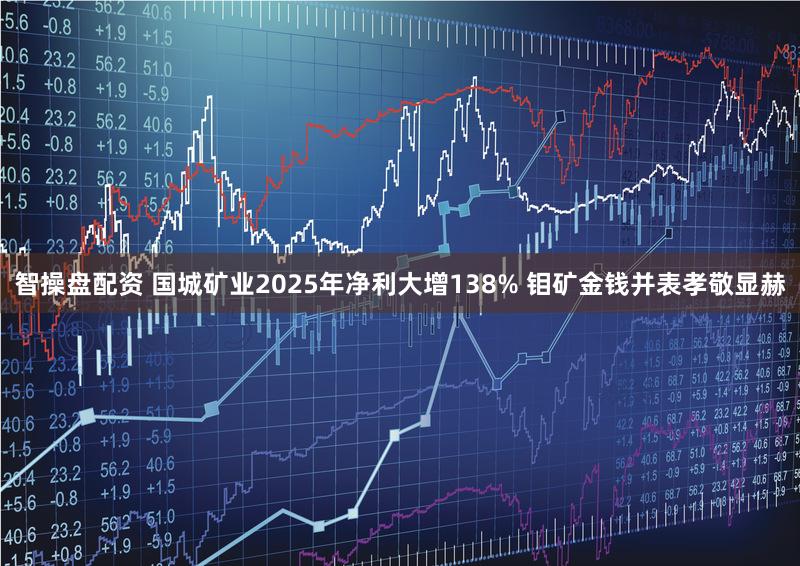 智操盘配资 国城矿业2025年净利大增138% 钼矿金钱并表孝敬显赫