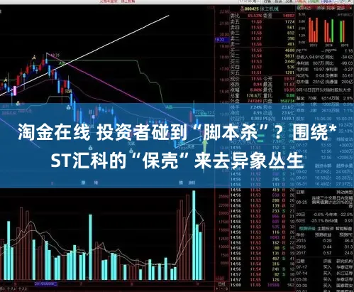 淘金在线 投资者碰到“脚本杀”?围绕*ST汇科的“保壳”来去异象丛生