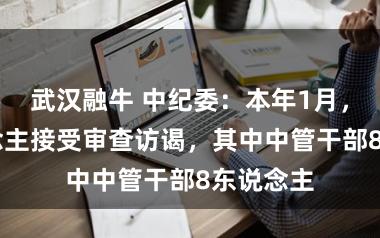 武汉融牛 中纪委:本年1月,94东说念主接受审查访谒,其中中管干部8东说念主